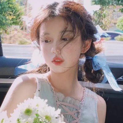 狗的生涯